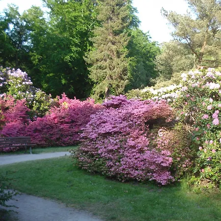 Quisisana In Der Kurstrasse 1 Og