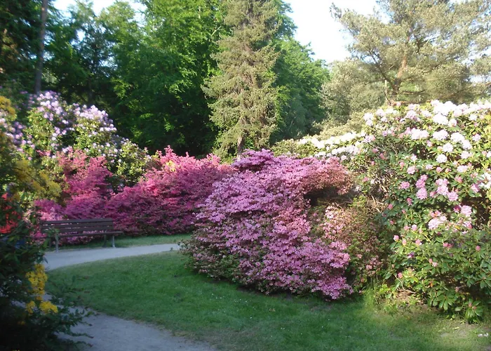 Quisisana In Der Kurstrasse 1 Og